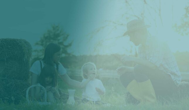 mreza-mladih-agroprduzetnika-p-2026-01-06-09-48-35-utc